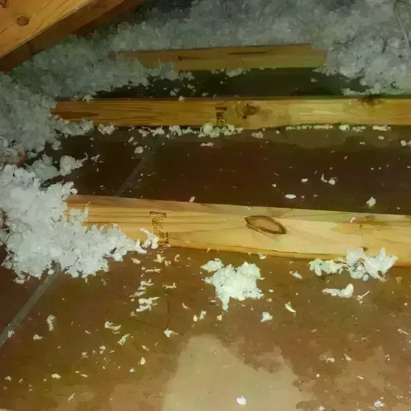 Attic Water Damage in Santa Teresa, NM